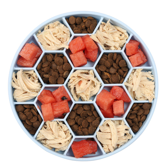 Honeycomb Pet Slow Food Bowl - Glossorea