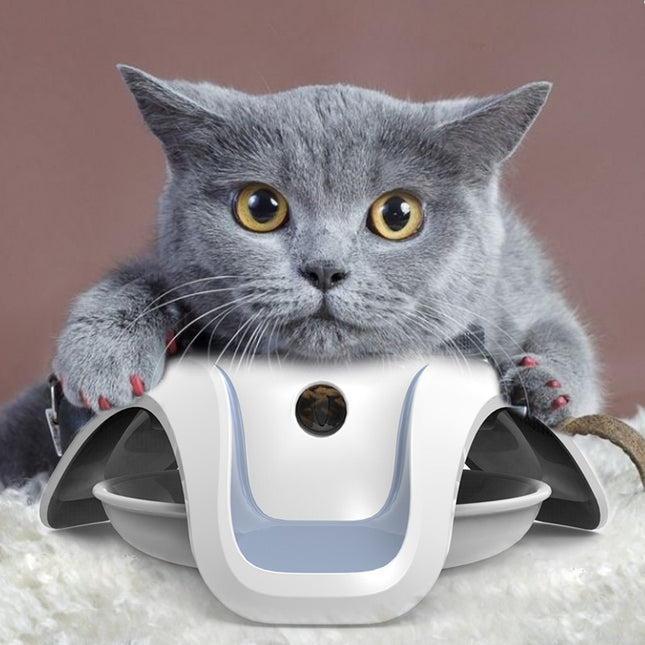 Pet cat leaking food toy - Glossorea
