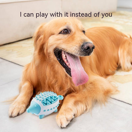 Pet Food Dropping Ball Dog Toy - Glossorea
