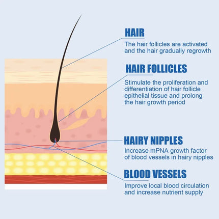 Premium Scalp Health Serum – Unisex Natural Hair Care - Glossorea