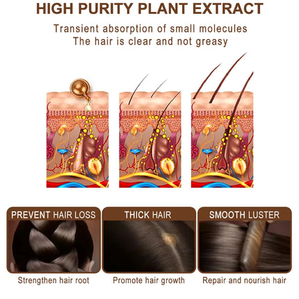 30PCS Hair Growth Oil Capsules – Natural, Moisturizing & Restorative - Glossorea