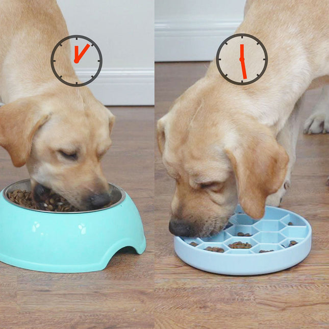 Honeycomb Pet Slow Food Bowl - Glossorea